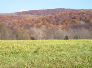 26122 Beekman Economic Development Plan 2