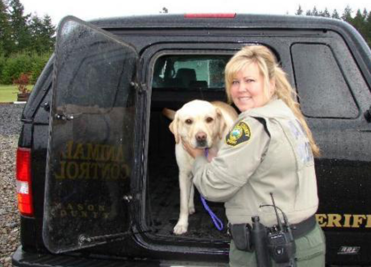 County Wide Shared Services Initiative New York Animal Control New York 2 million gallon water storage tank