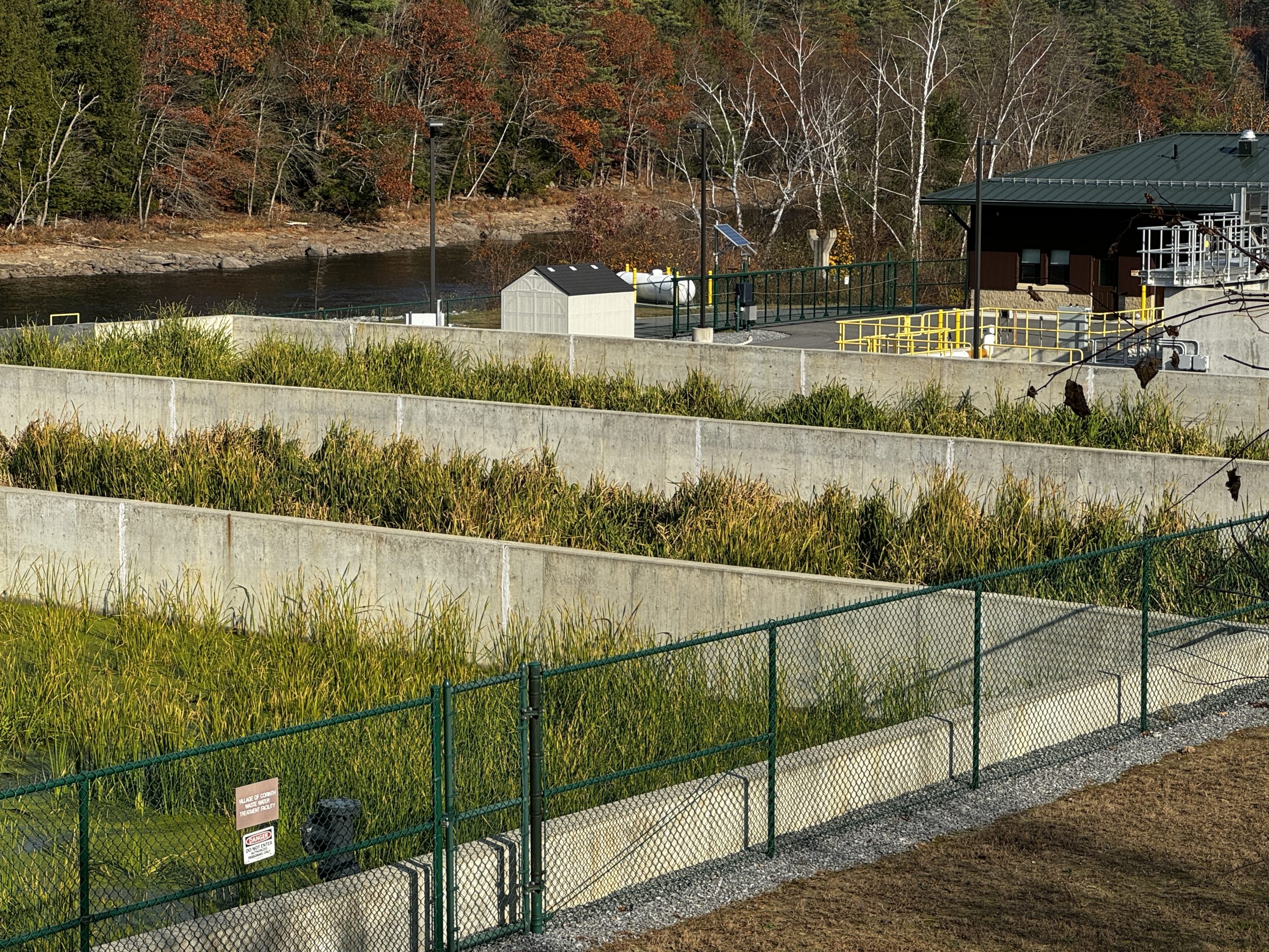 IMG_8864 Planted sludge beds up and working.